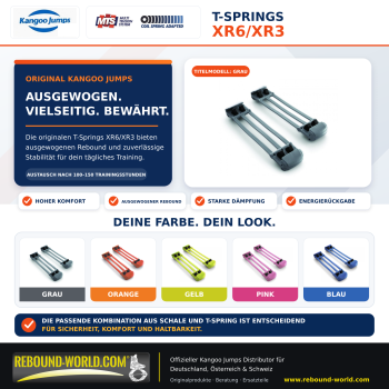 T-Springs XR3/XR6 (1 Paar)